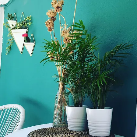 Babushka Studio-loft Near The Sea